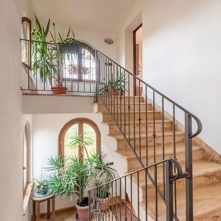 Theo House Apartment